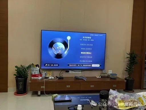 前十名：电视选购不迷茫TOP10推荐PP电子(中国)网站电视机品牌排行榜(图4)